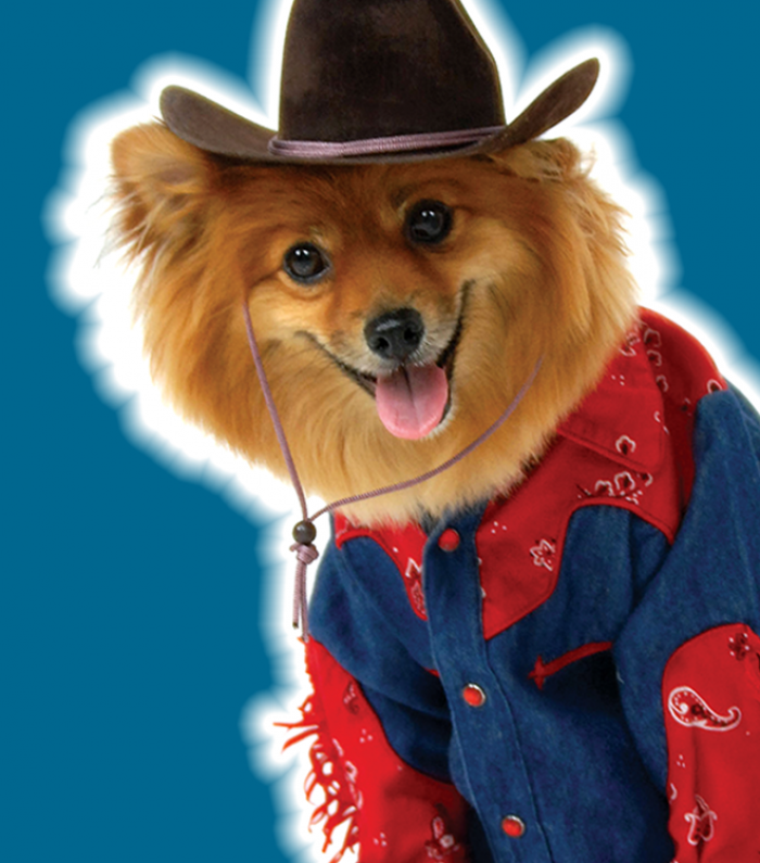 dog in western attire